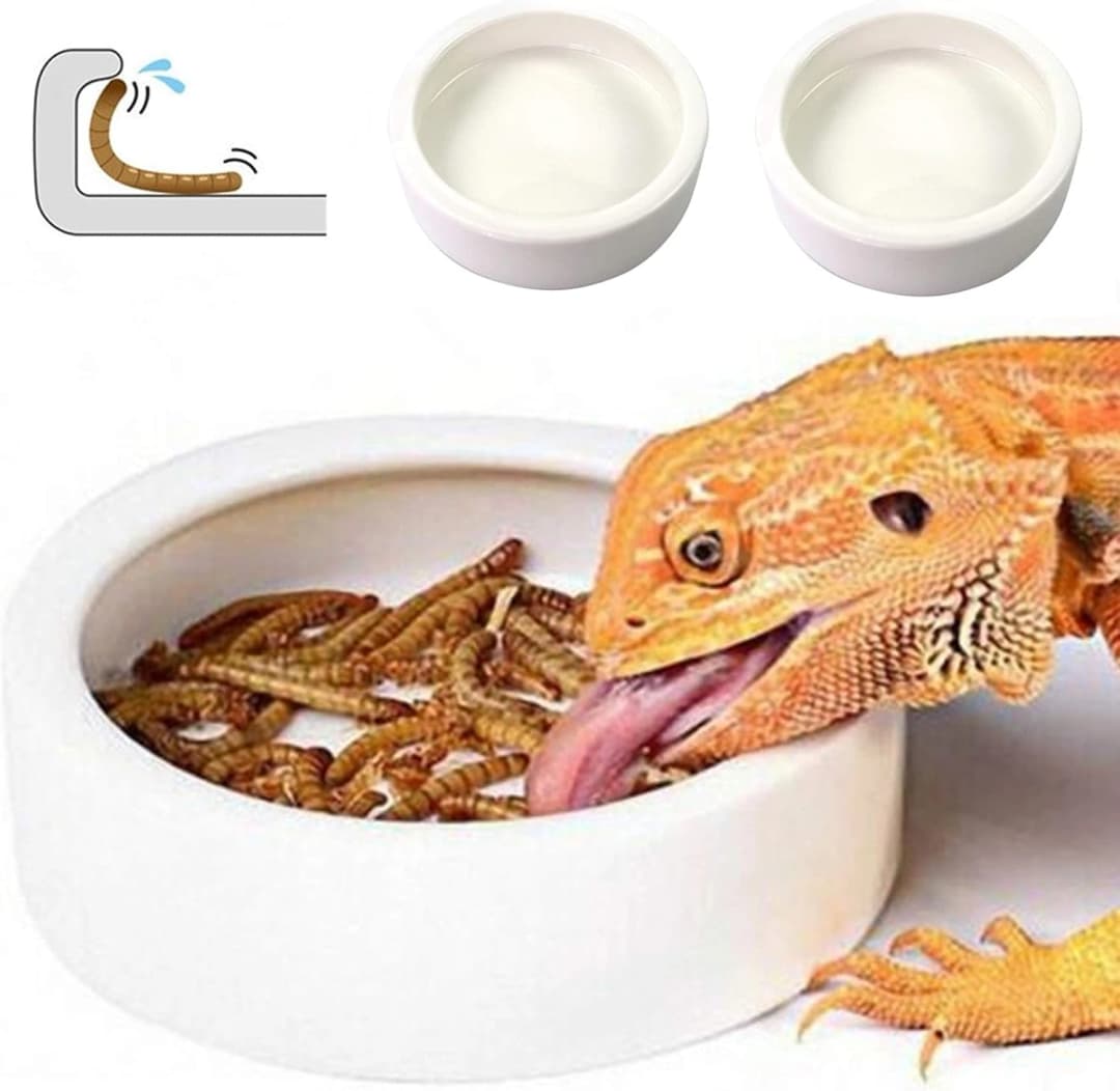 Reptile Food Dish Bowl — 2Pcs Lizard Gecko Worm Water Bowls Small (2.75in)