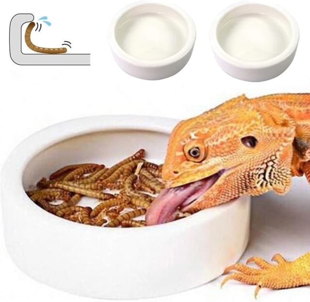 Reptile Food Dish Bowl — 2Pcs Lizard Gecko Worm Water Bowls Small (2.75in)