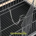 52" Large Bird Cage for Parakeets