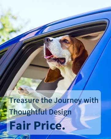 2 Packs Car Door Protector for Dogs — collection imagery