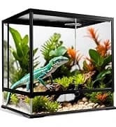 Reptile Chameleon Cantina Drinking Fountain Water dripper Supplied with Feeding Tongs and Frosted Tweezer for — collection imagery