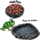 2 Pack Reptile Feeding Dish Corner Bowl — Reptile Water Dish Food Bowl Feeding Terrarium Bowls for Bearded