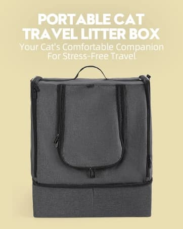 Cat Backpack Carrier — Support Frame — collection imagery