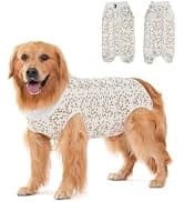 Dog Backpack for Small Dogs to Wear — collection imagery