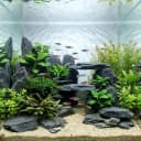 Slate Rock for Aquarium — 5-7 Inch Polished Natural Stone Rocks