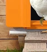 Smart Chicken Coop Heater — 200W Radiant Heat Panel with Temperature Sensor — collection imagery