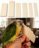 Bird Chew Toys Large Untreated Balsa Wood 10 Pack