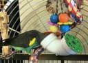 SB751 PVC Forager Bird Toy — Medium/Large Bird Size