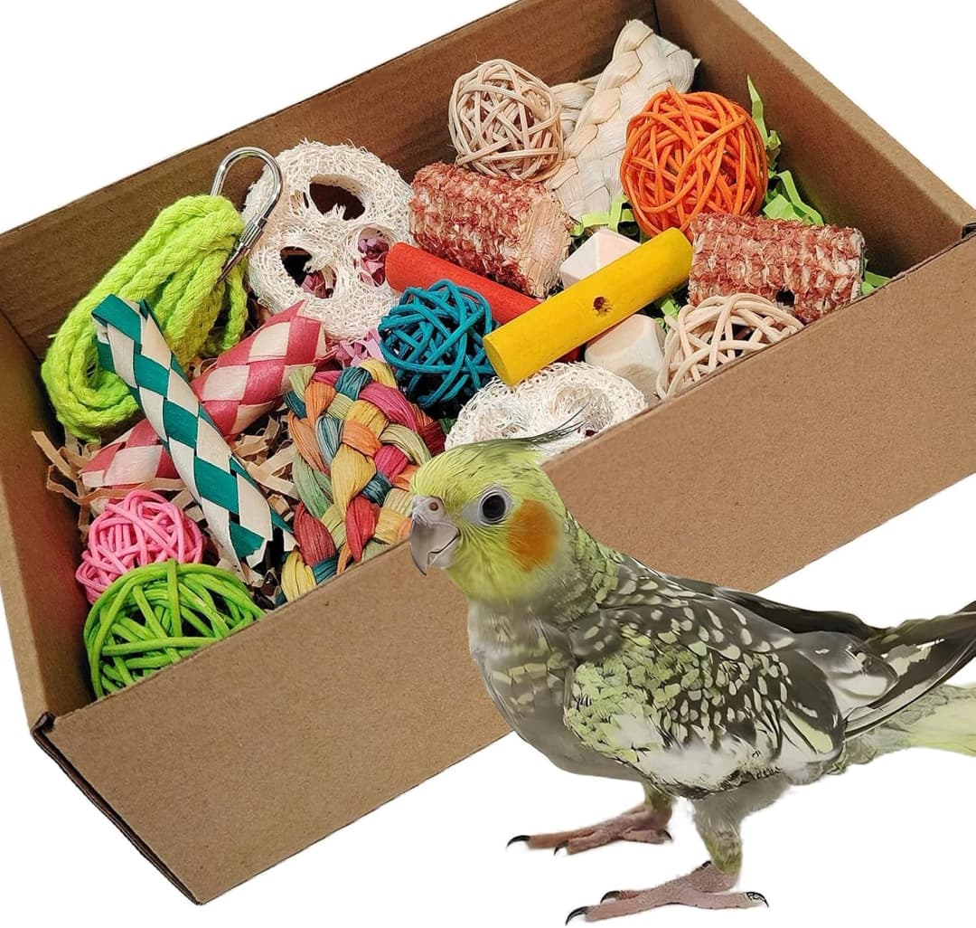 Bird Toys — Colorful Parrot Foraging and Tearing Toy Box