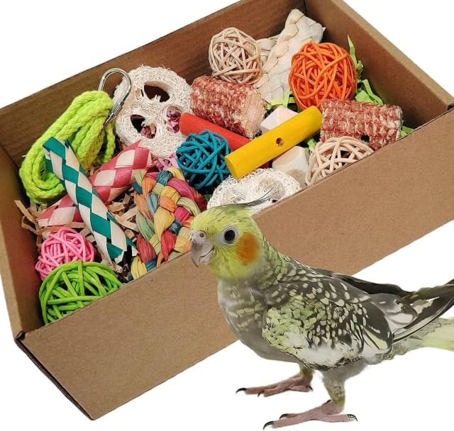 Bird Toys — Colorful Parrot Foraging and Tearing Toy Box