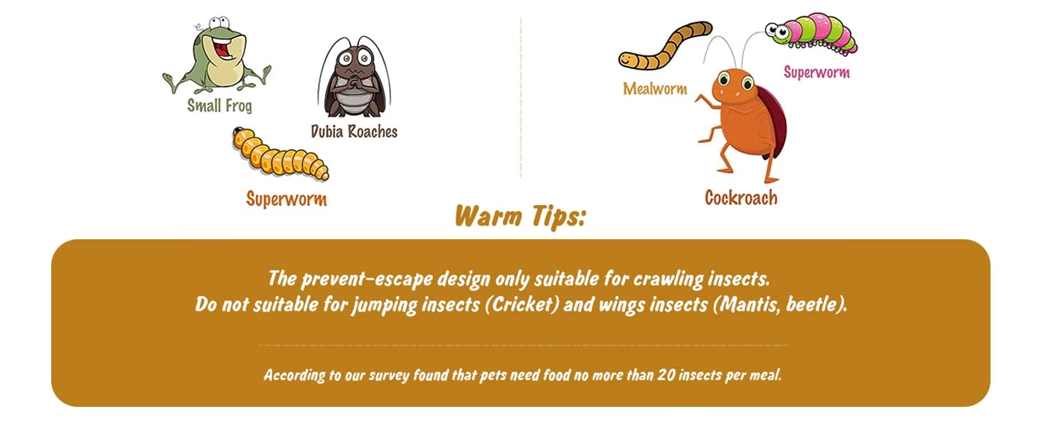 Reptile Food Dish Bowl — 2Pcs Lizard Gecko Worm Water Bowls Small (2.75in) — product details