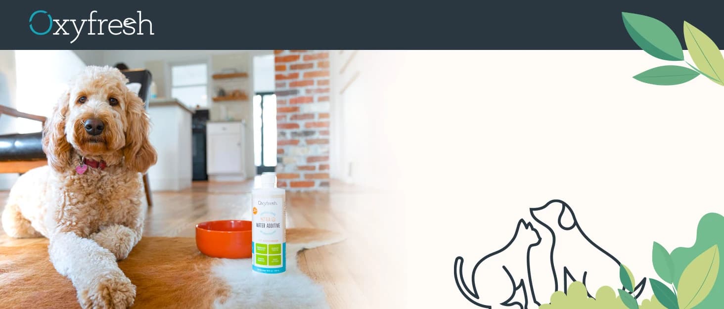 Pemium Crate and Cage Cleaner – Safe — collection imagery