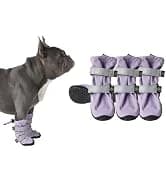 Dog Cooling Vest - Evaporative Summer Cooling — collection imagery