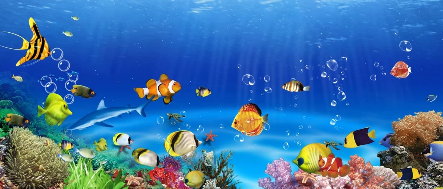 Battery Powered Aquarium Air Pump — collection imagery