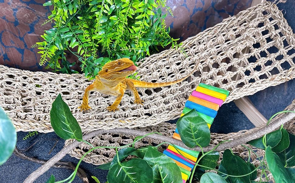 2 Pack Large Bearded Dragon Hammock,30"x7"Lizard Climbing Lounger — We follow these steps for positioning and attaching each suction cup