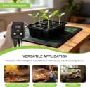 Reptile Thermostat Temperature Controller