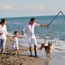 Flirt Pole for Dogs - Heavy Duty Interactive Dog Rope Toy