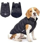 Dog Cooling Vest - Evaporative Summer Cooling — collection imagery
