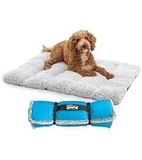 Granby Splash Dog Life Jacket — collection imagery