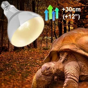 Full Spectrum UVA + UVB Sun Lamp Self-Ballasted Vapor Lamp/Bulb/Light for Reptile and Amphibian Use — collection imagery