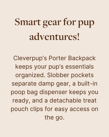 Snackpack Double Insulated Dog Treat Pouch – 1.5 Cup Capacity — collection imagery