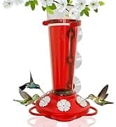 Window Bird Feeder with Strong Suction Cups — collection imagery