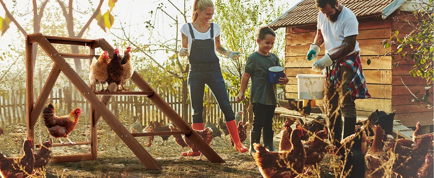 4 Holes Chicken Nesting Box — PVC Waterproof Roof — product details