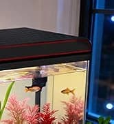 Reptile Fogger Humidifier — Automatic Humidifiers for Reptiles Tank — collection imagery