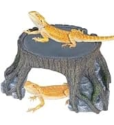 30 Gallon PVC Tall Reptile Tank — collection imagery