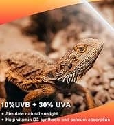 150W Ceramic Heat Emitter — Reptile Heat Bulbs — collection imagery