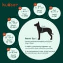 Dog Surgery Recovery Suit — Surgical Suit for Dogs Male Female