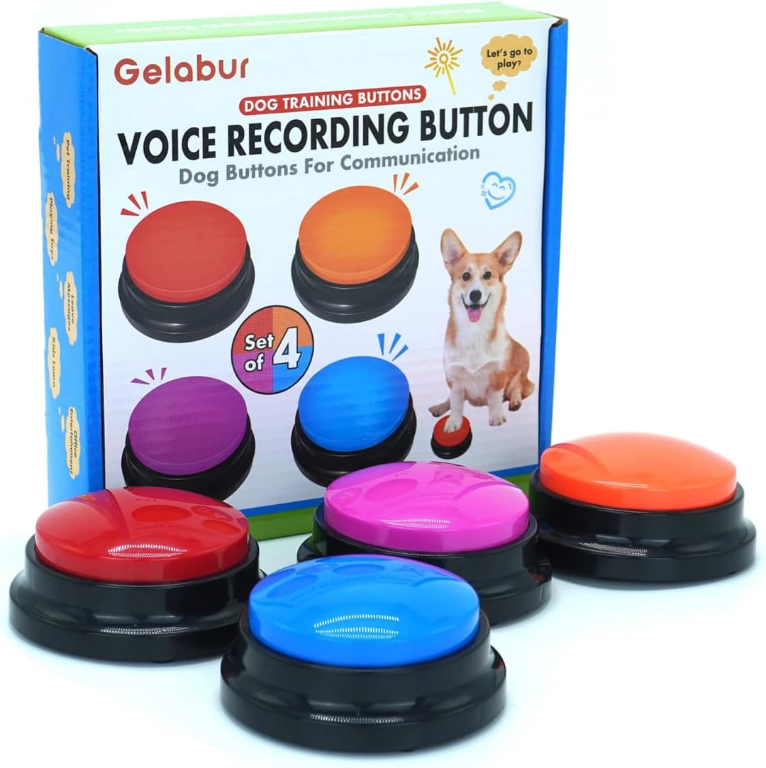 Set of 4 Dog Buttons for Communication