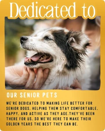 TigerToes Premium Non-Slip Dog Socks for Hardwood Floors - Extra-Thick Grip that Works Even When Twisted — collection imagery