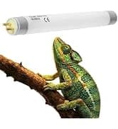Reptile Chameleon Cantina Drinking Fountain Water dripper Supplied with Feeding Tongs and Frosted Tweezer for — collection imagery