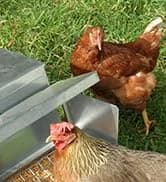 Grandpas Feeders Automatic Chicken Feeder - 20 lbs No Waste Poultry Feeder — collection imagery