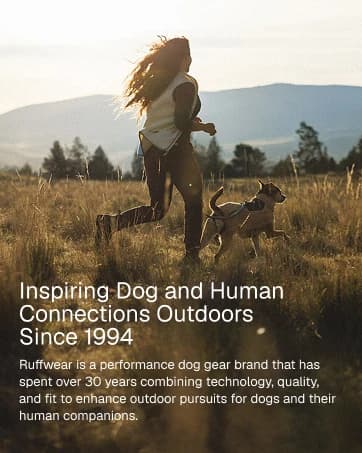 Hitch Hiker Dog Backpack Carrier — collection imagery