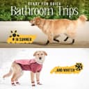 TigerToes Premium Non-Slip Dog Socks for Hardwood Floors - Extra-Thick Grip that Works Even When Twisted