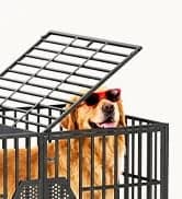 48'' Heavy Duty Dog Crates for Large Dogs — collection imagery
