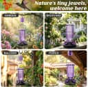 Glass Hummingbird Feeder for Outdoors Hanging