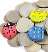 Slate Rock for Aquarium — 5-7 Inch Polished Natural Stone Rocks — collection imagery