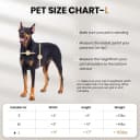 All Aluminum Dog Door for Exterior Door — Large Doggy Door