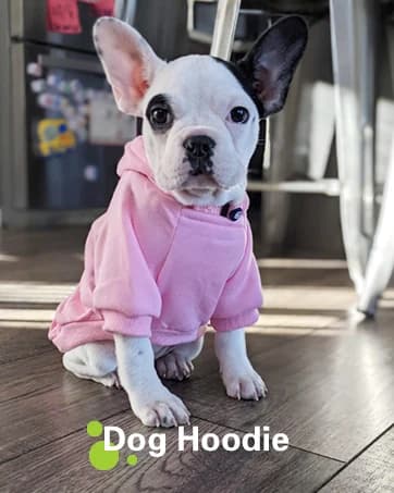Soft Dog Hoodies for Small Dogs — collection imagery