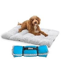 On-The-Go Travel Dog Bed — Portable Roll-Up Mat with Buckle — collection imagery