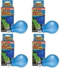 Daylight Blue Reptile Bulb [Set of 2] Watt: 60 Watts — collection imagery