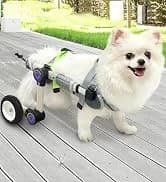 Dog Wheelchair for Back Legs — Adjustable Mobility Cart for Dog — collection imagery