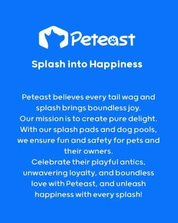 Dog Pool for Large Dogs — Foldable Hard Plastic — collection imagery