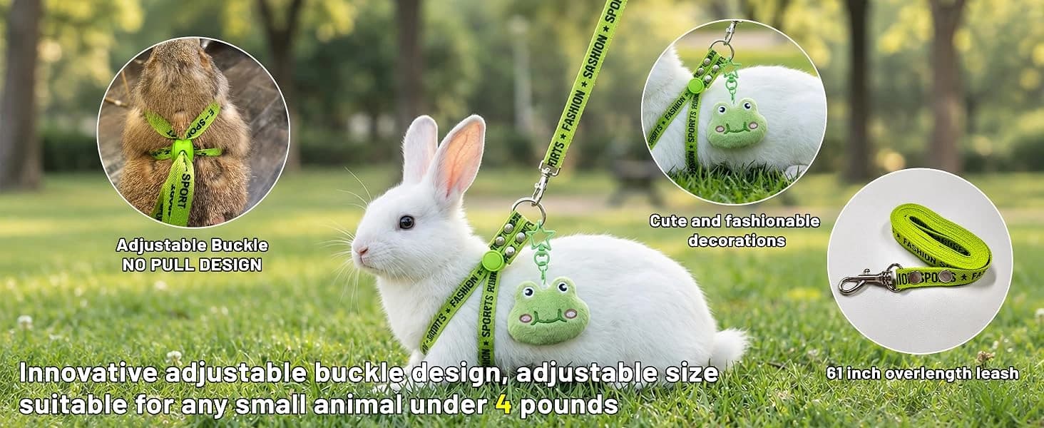 2PCS Ferret Harness and Leash — Adjustable Guinea Pig Harness — product details