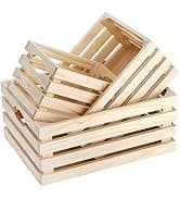Turtle Basking Platform — Fish Tank Aquarium Tortoise Climbing Platform with 3 Suction Cups — collection imagery