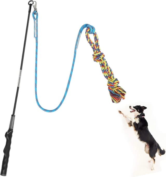 Flirt Pole for Dogs — Interactive Pole for Small