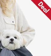 Outdoor Dog Bed — Cooling Elevated Pet Bed Portable Raised Dog Bed with Breathable Mesh — collection imagery